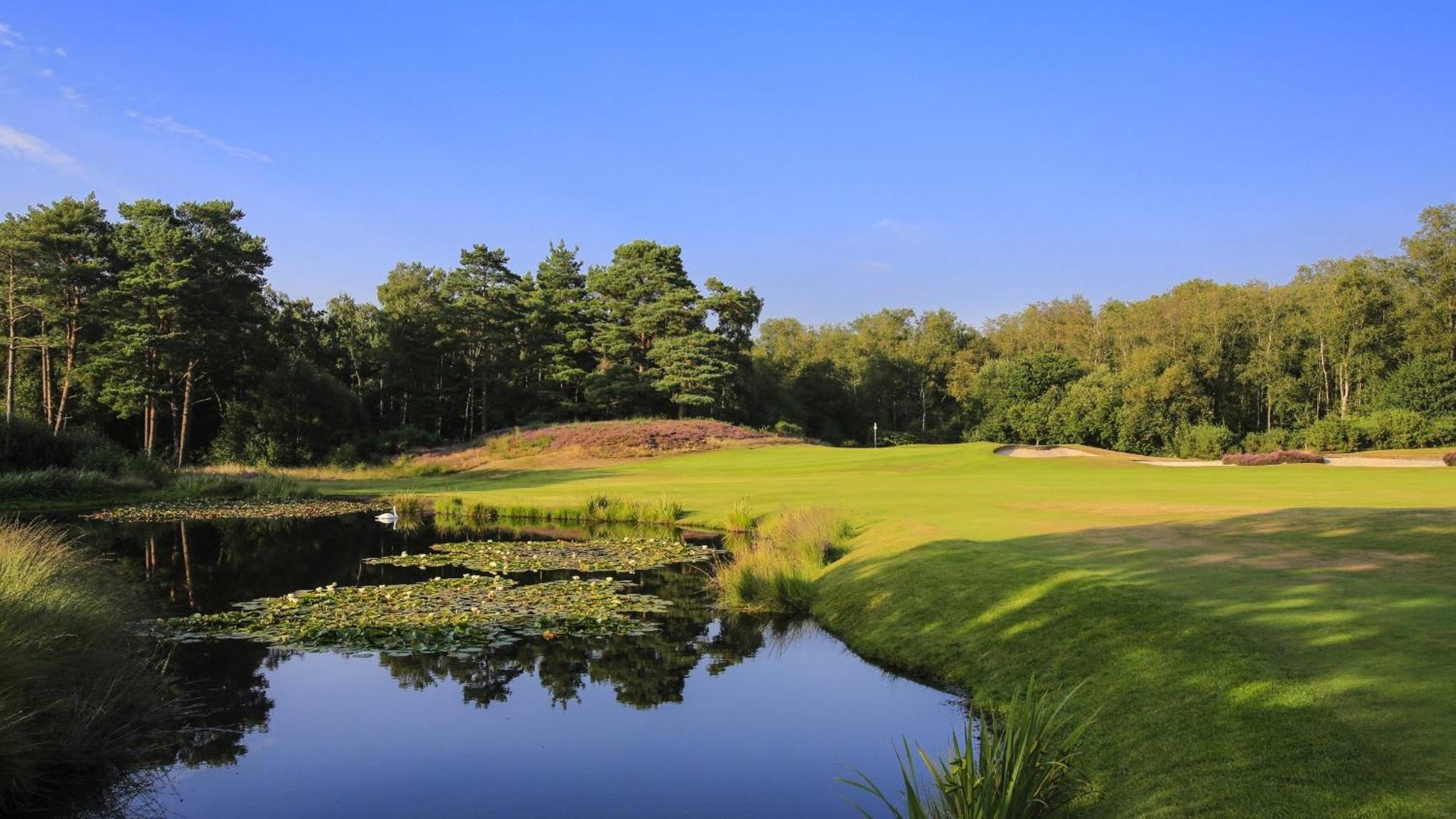 Unique & Rural Child Friendly Annexe With Large Gardens, Games & Tennis Court - Chichester Holiday Properties ภายนอก รูปภาพ