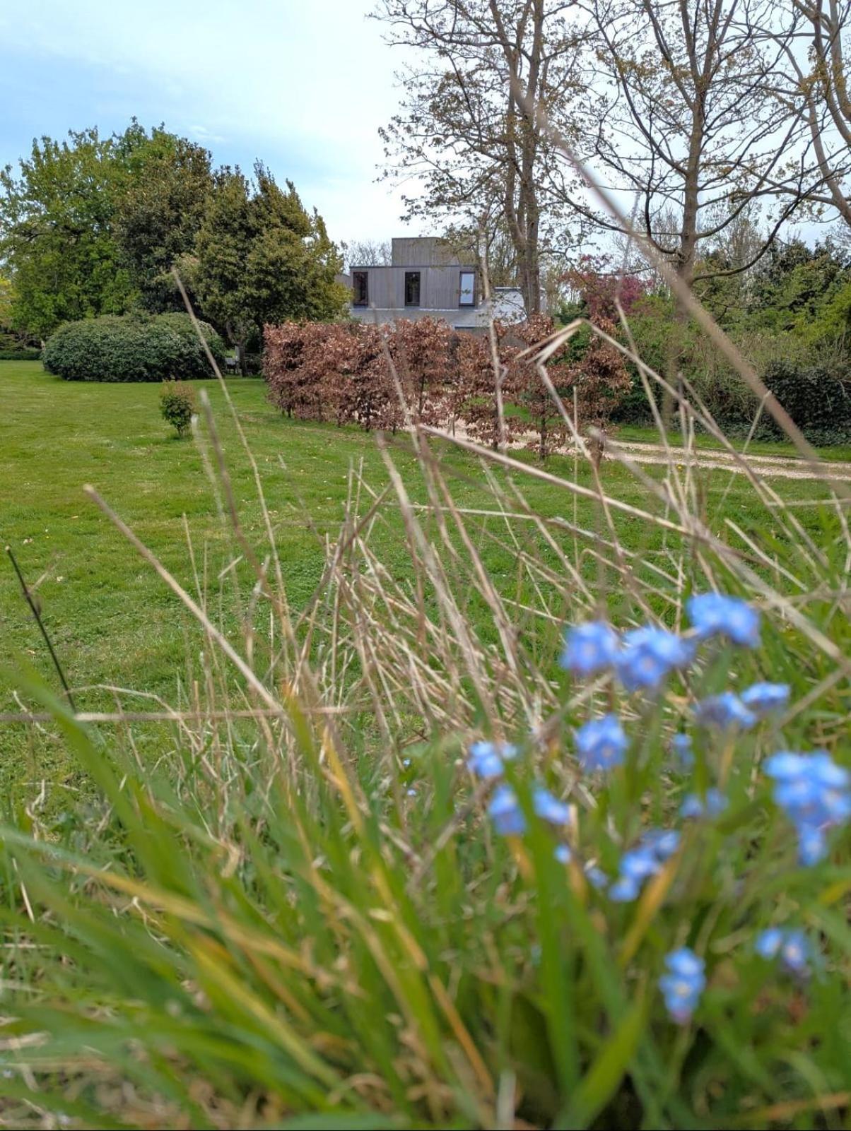 Unique & Rural Child Friendly Annexe With Large Gardens, Games & Tennis Court - Chichester Holiday Properties ภายนอก รูปภาพ