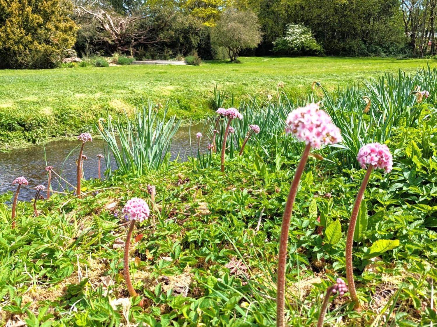 Unique & Rural Child Friendly Annexe With Large Gardens, Games & Tennis Court - Chichester Holiday Properties ภายนอก รูปภาพ
