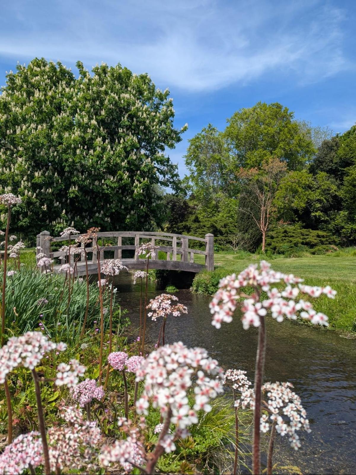 Unique & Rural Child Friendly Annexe With Large Gardens, Games & Tennis Court - Chichester Holiday Properties ภายนอก รูปภาพ